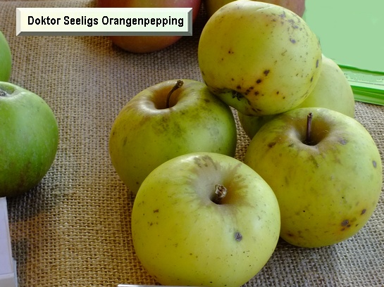 Pomme Doktor Seeligs Orangenpepping