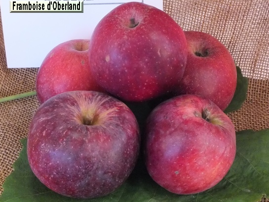 Pomme Framboise d'Oberland