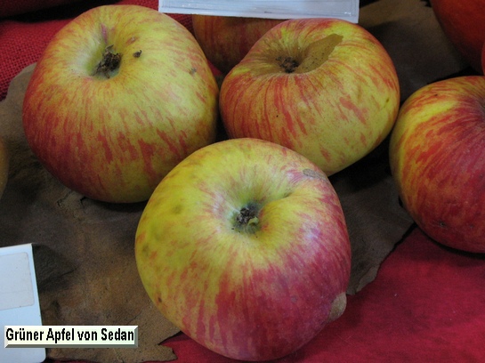 Pomme Grüner Apfel von Sedan