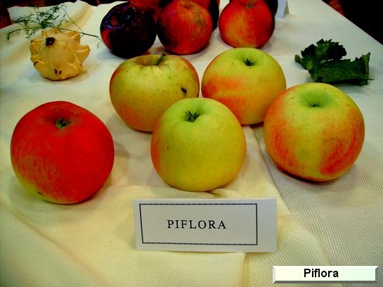 Pomme Piflora