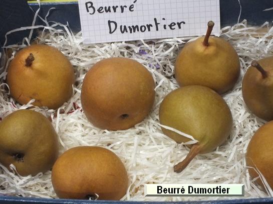 Poire_ad Beurré Fouqueray