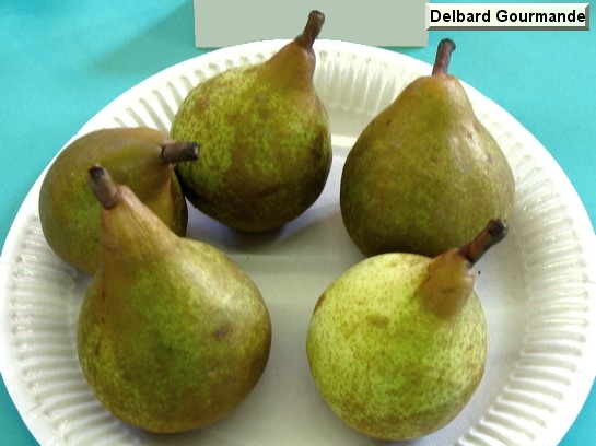 Poire_ad Delbard Gourmande®