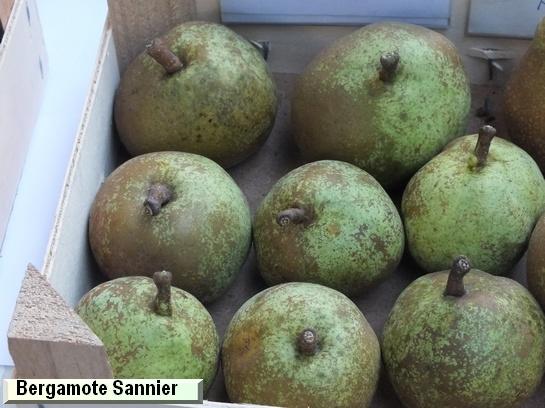 Poire_ad Bergamote Sannier