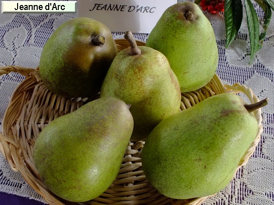 Poire_il Jeanne d'Arc