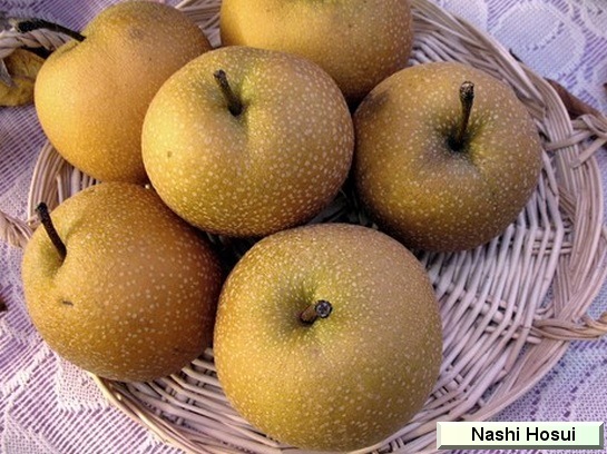 Poire_mp Nashi Hosui