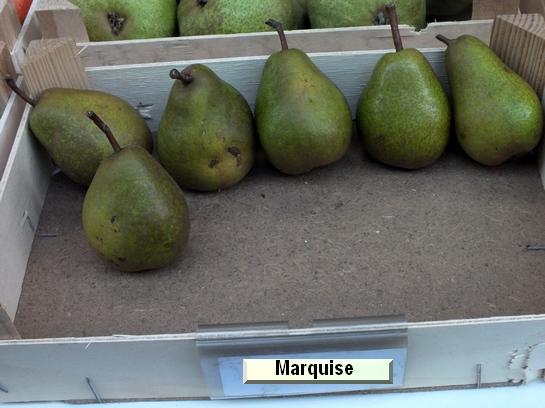 Poire_mp Marquise