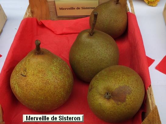 Poire_mp Merveille de Sisteron