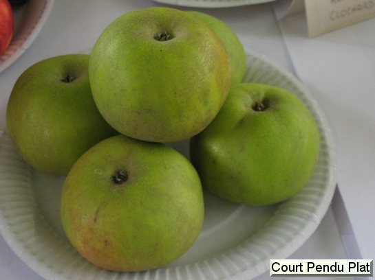 Pomme Court Pendu Plat