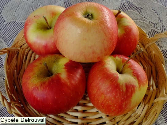 Pomme Cybele® Delrouval