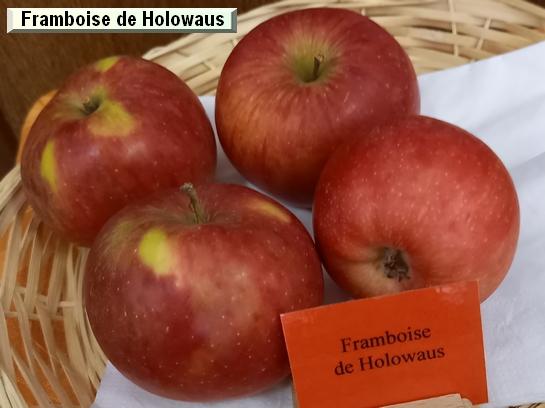 Pomme_eh Framboise d'Holowaus  (Malina)