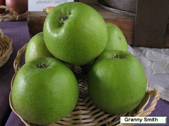 Pomme_eh Granny Smith