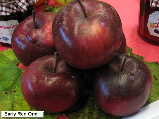 Pomme Early Red One®