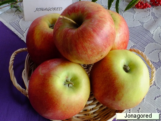 Pomme Jonagored