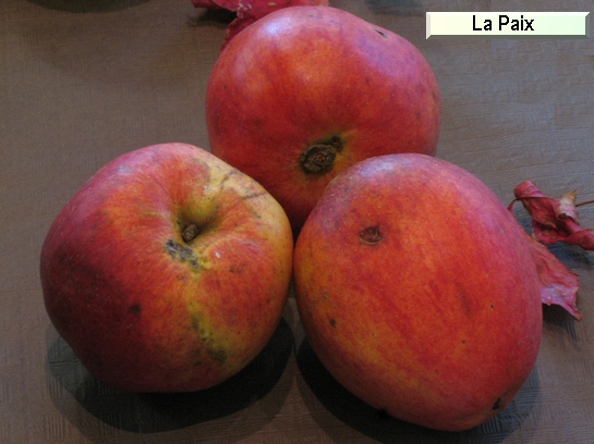Pomme La Paix