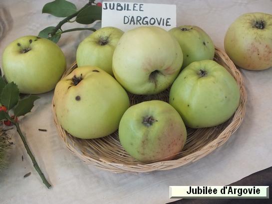 Pomme_il Jubilée d'Argovie