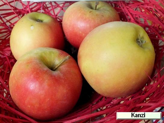 Pomme_il Kanzi®