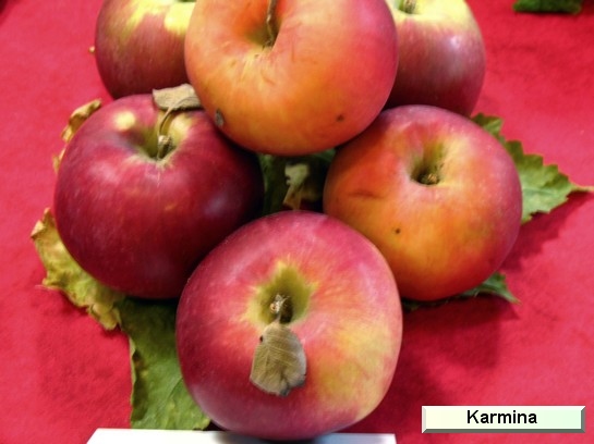 Pomme_il Karmina