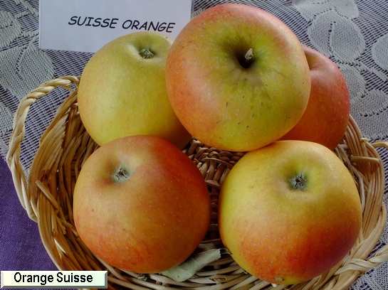 Pomme_mp Orange Suisse