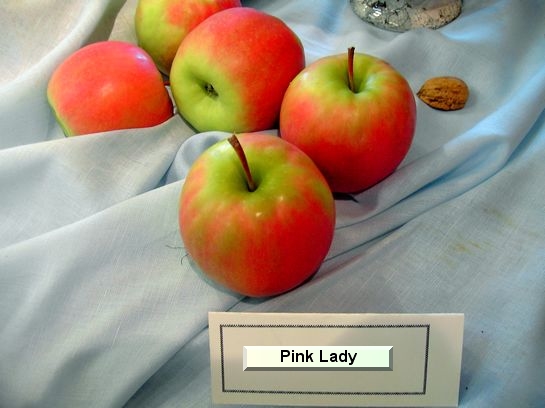 Pomme Pink Lady® - Cripps Pink