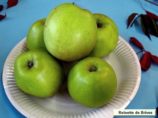 Pomme_qu Reinette de Brive