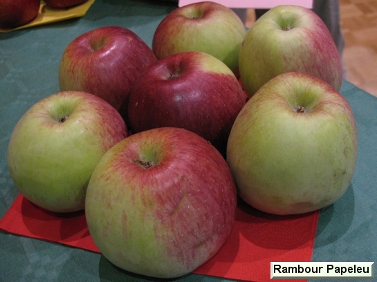 Pomme_qu Rambour Papeleu