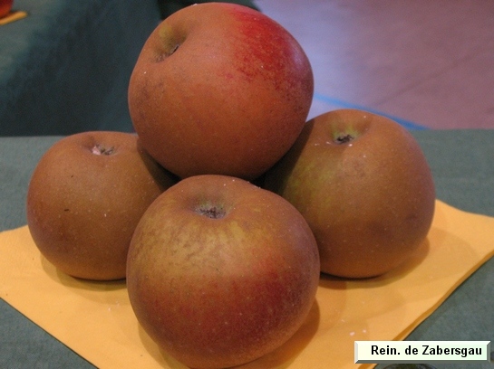 Pomme_qu Reinette de Zabergau