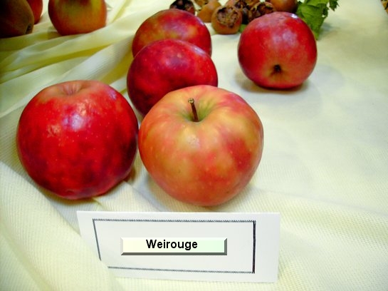 Pomme Weirouge