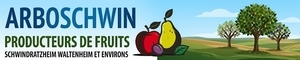 Logo Arboschwin