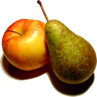 Logo Fruits